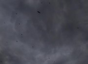 S.T.A.L.K.E.R. screenshot