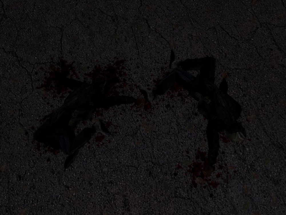 S.T.A.L.K.E.R.: Shadow of Chernobyl