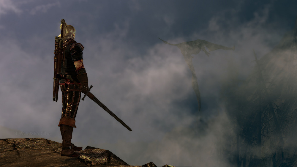 The Witcher 2: Assassins of Kings