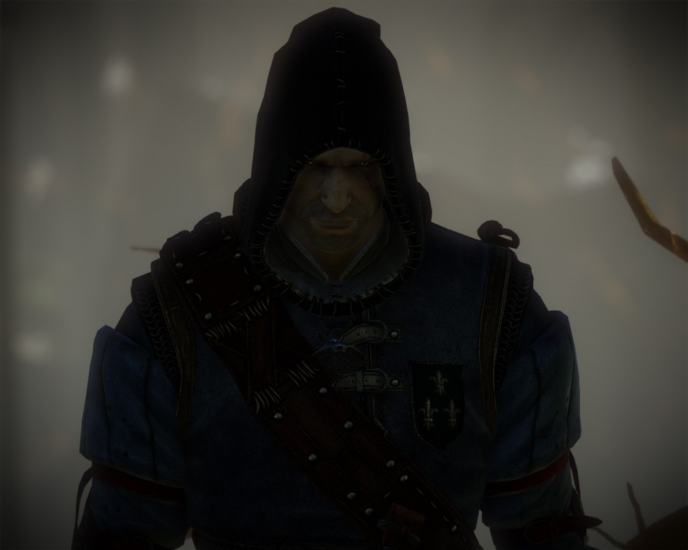 The Witcher 2: Assassins of Kings