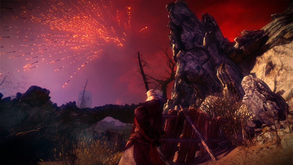 The Witcher 2: Assassins of Kings
