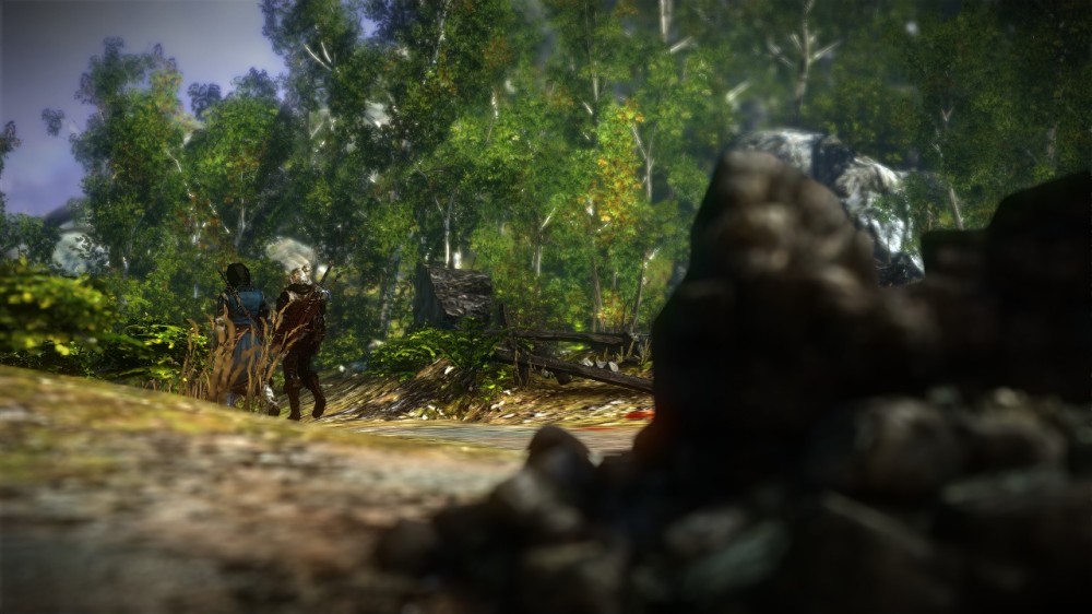 The Witcher 2: Assassins of Kings