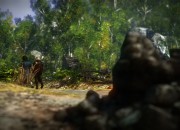 The Witcher 2 screenshot