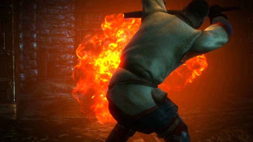 The Witcher 2: Assassins of Kings