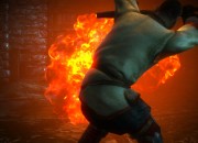 The Witcher 2 screenshot