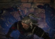 The Witcher 2 screenshot