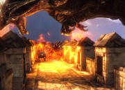 The Witcher 2 screenshot