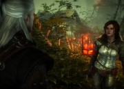 The Witcher 2: Assassins of Kings
