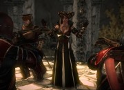 The Witcher 2 screenshot