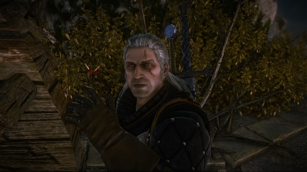 The Witcher 2: Assassins of Kings