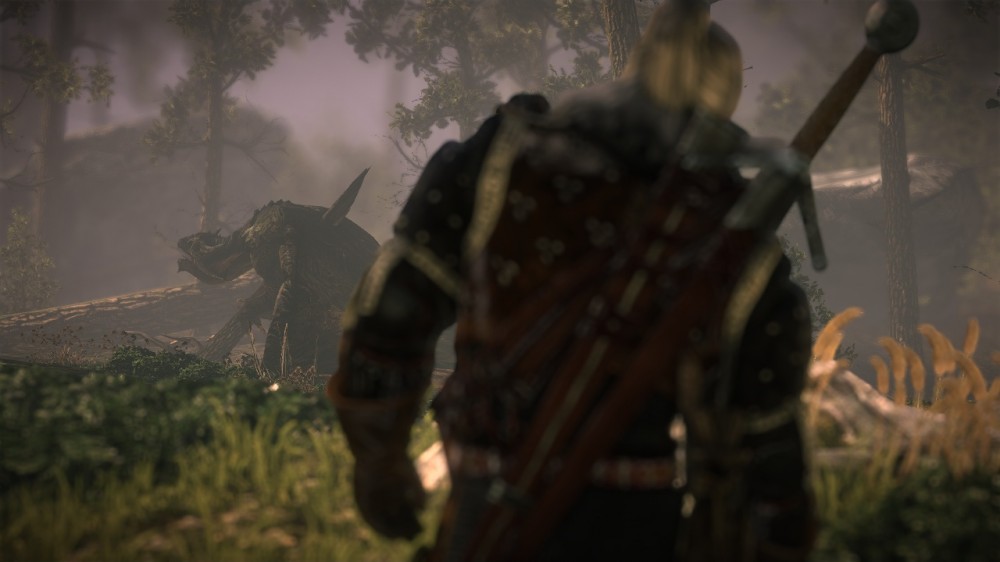 The Witcher 2: Assassins of Kings