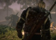 The Witcher 2 screenshot