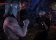 The Witcher 2: Assassins of Kings