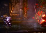 The Witcher 2: Assassins of Kings