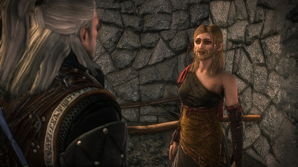 The Witcher 2: Assassins of Kings