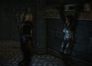 The Witcher 2 screenshot