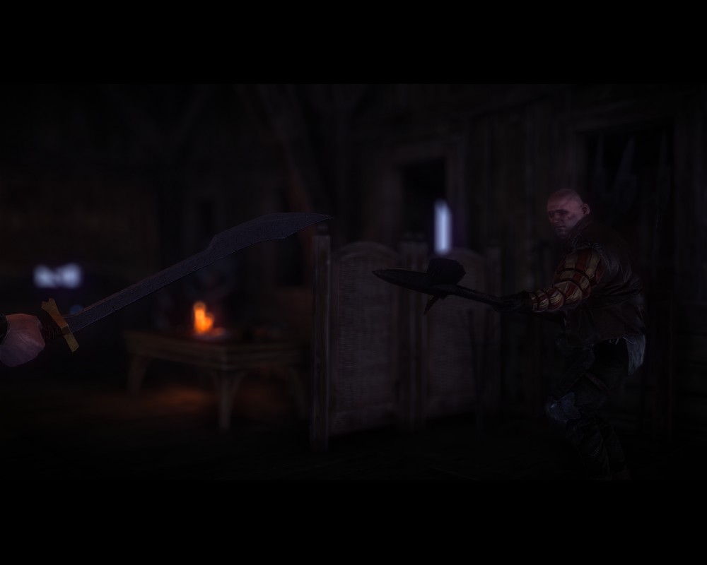 The Witcher 2: Assassins of Kings