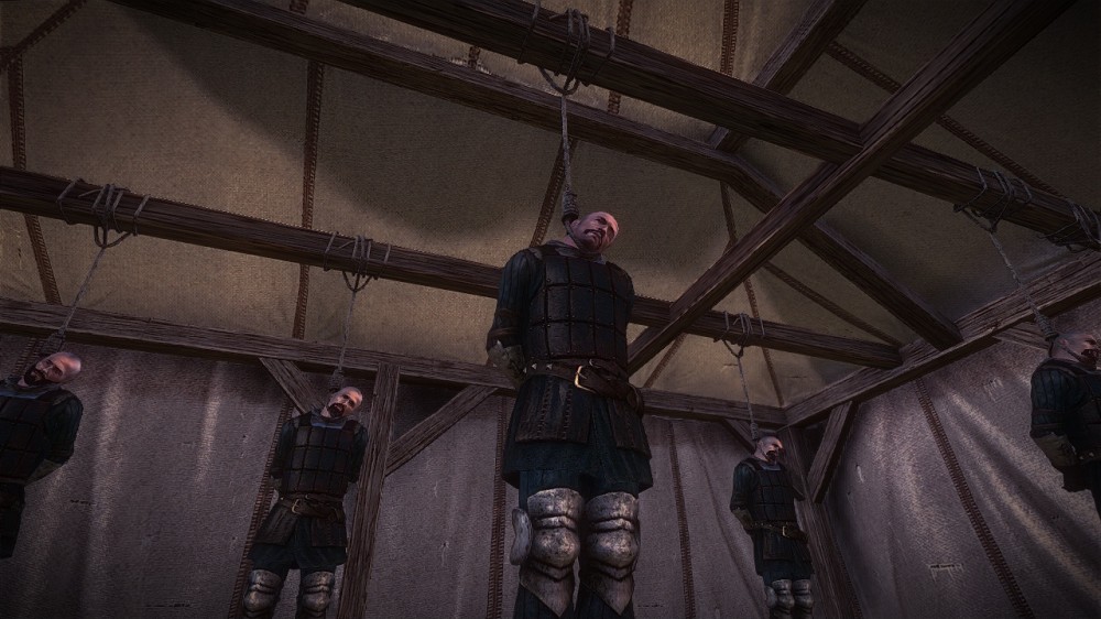 The Witcher 2: Assassins of Kings