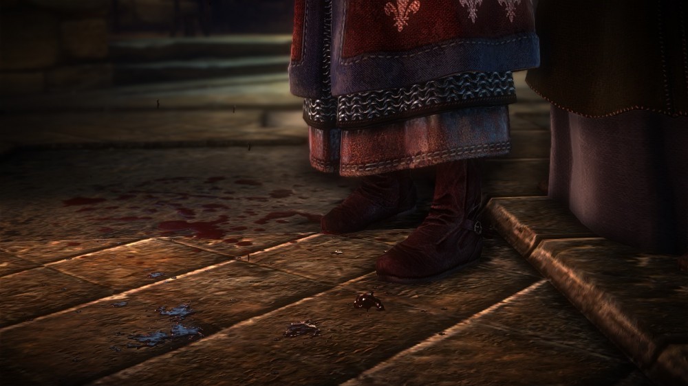 The Witcher 2: Assassins of Kings