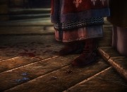 The Witcher 2 screenshot