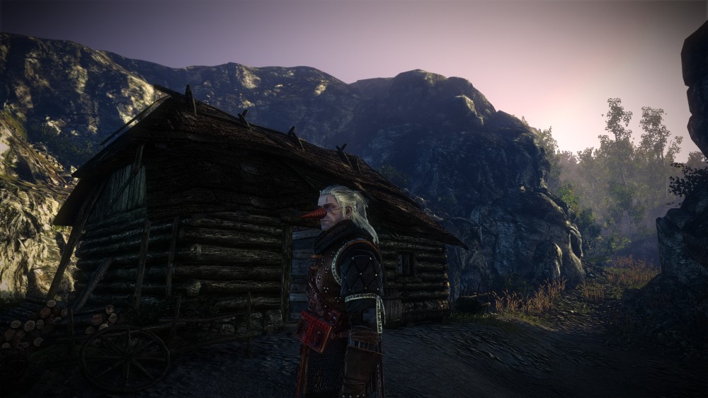 The Witcher 2: Assassins of Kings