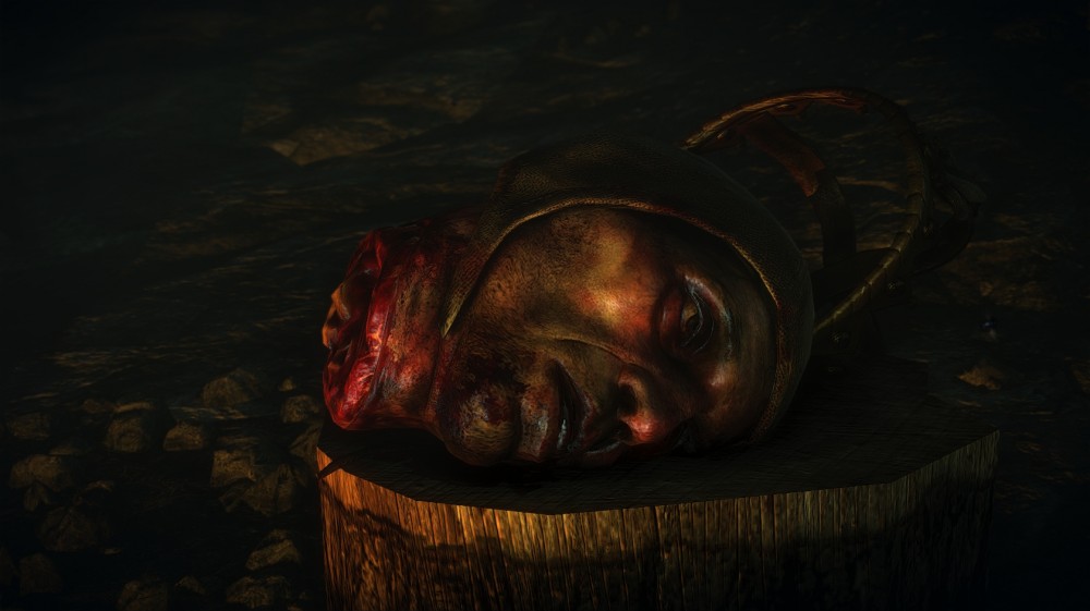 The Witcher 2: Assassins of Kings