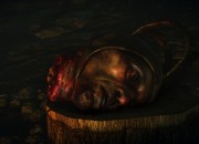 The Witcher 2: Assassins of Kings
