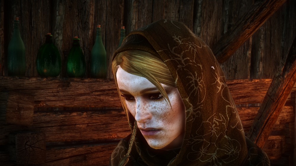 The Witcher 2: Assassins of Kings
