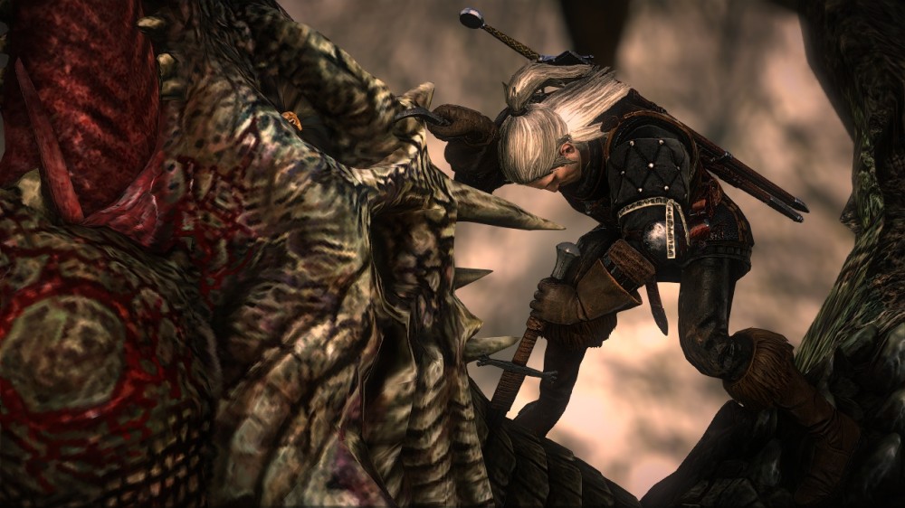 The Witcher 2: Assassins of Kings