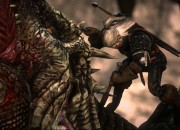 The Witcher 2 screenshot