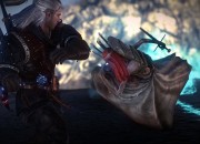 The Witcher 2 screenshot