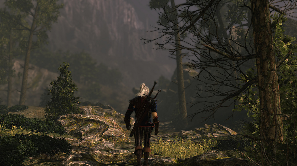 The Witcher 2: Assassins of Kings