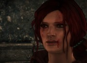The Witcher 2 screenshot