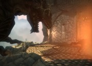 The Witcher 2 screenshot