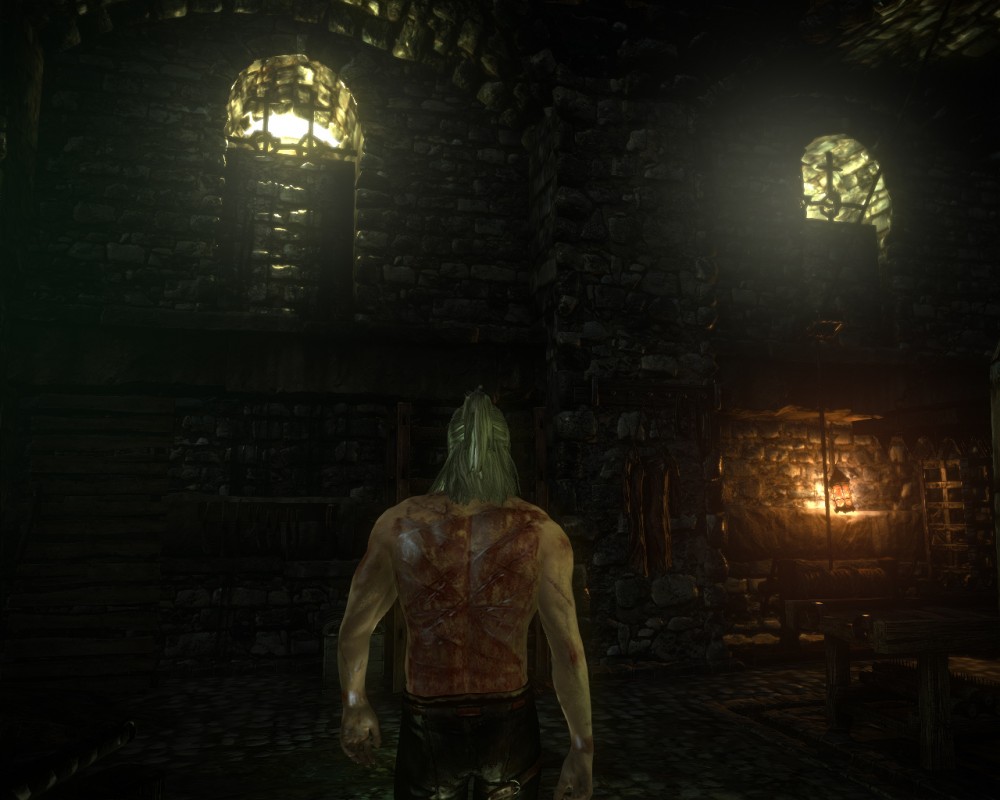 The Witcher 2: Assassins of Kings