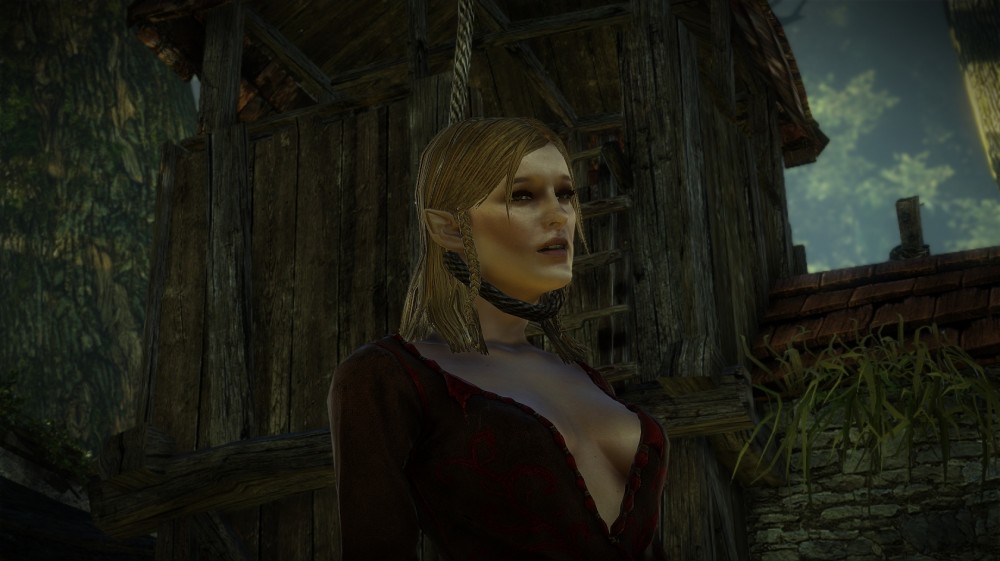 The Witcher 2: Assassins of Kings