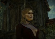 The Witcher 2: Assassins of Kings