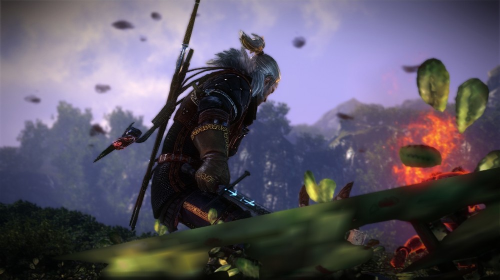The Witcher 2: Assassins of Kings