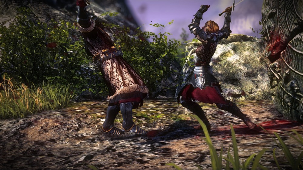 The Witcher 2: Assassins of Kings