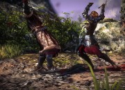 The Witcher 2 screenshot