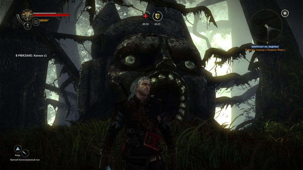 The Witcher 2: Assassins of Kings