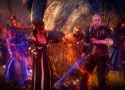 The Witcher 2 screenshot