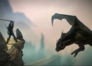 The Witcher 2 screenshot