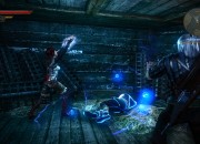The Witcher 2 screenshot