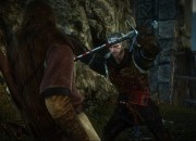 The Witcher 2 screenshot