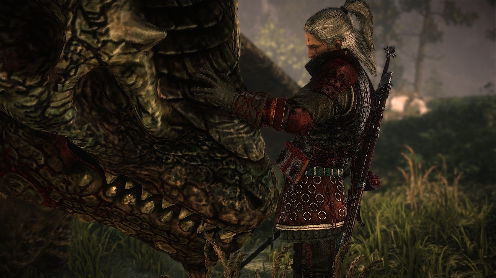 Screensider - The Witcher 2: Assassins of Kings