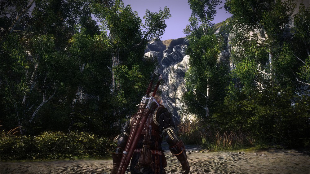 The Witcher 2: Assassins of Kings