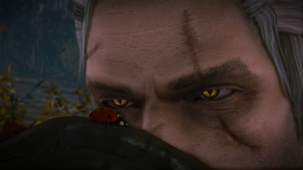The Witcher 2: Assassins of Kings