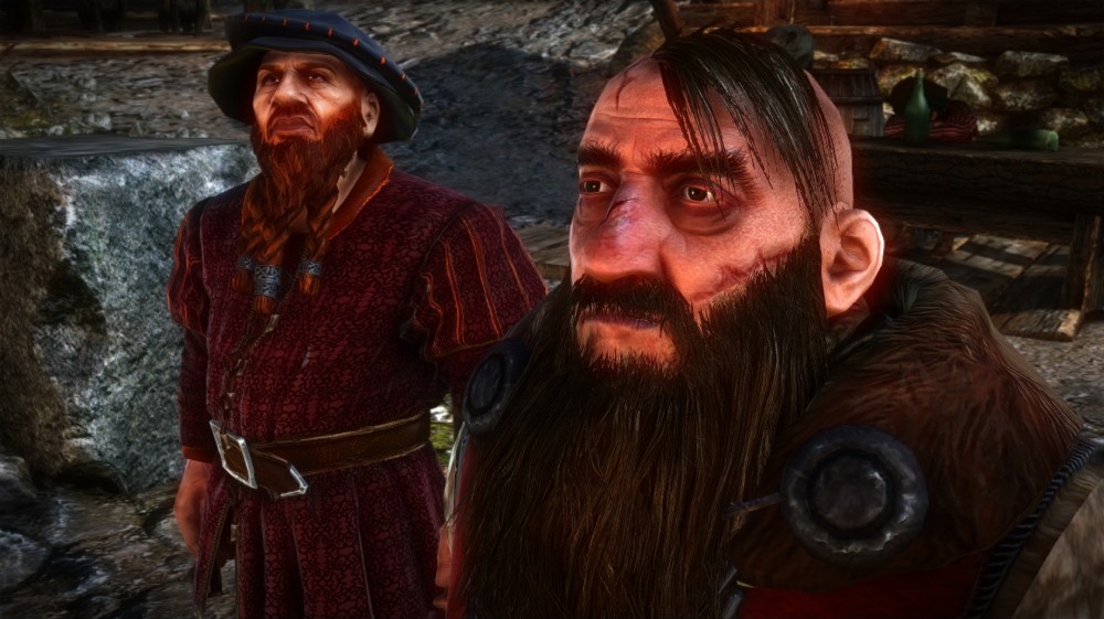 The Witcher 2: Assassins of Kings