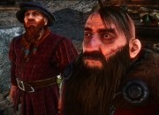 The Witcher 2 screenshot